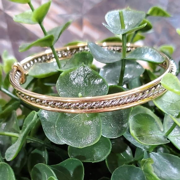 Lia Sophia Jewelry - NEW Gold / Silver Bangle